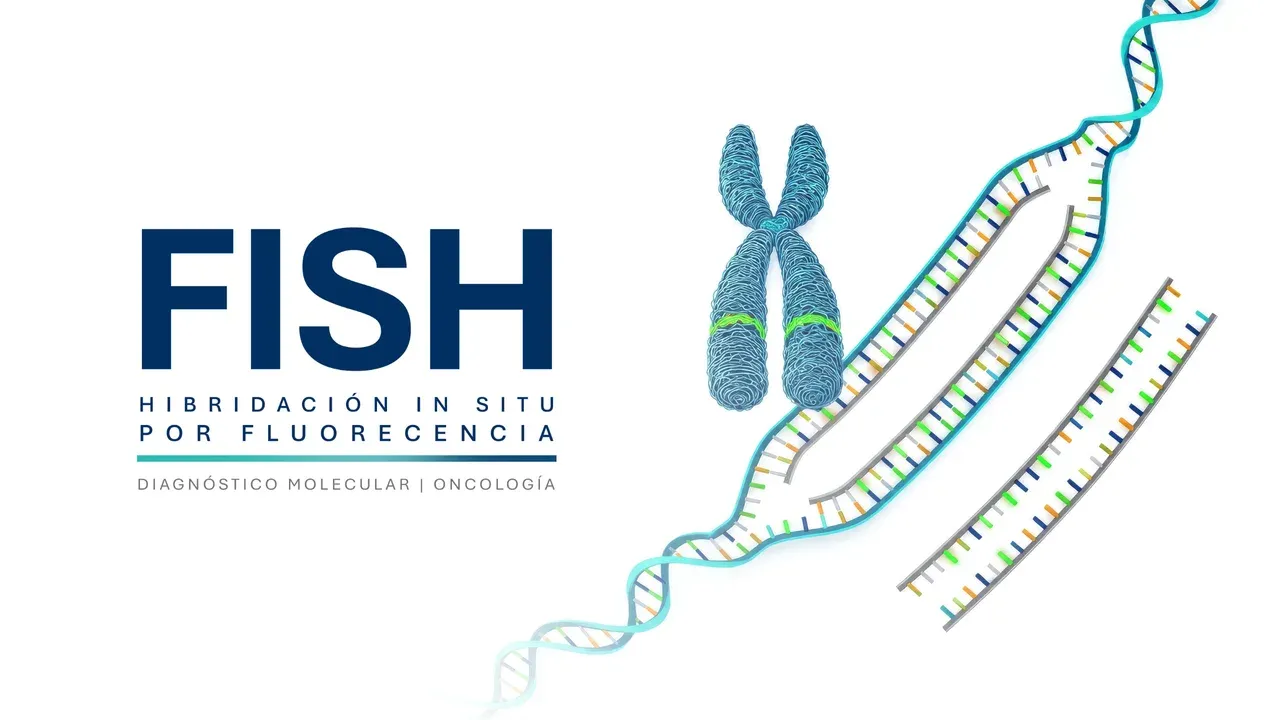 Diagnóstico de FISH · HER2/ERBB2 y ALK