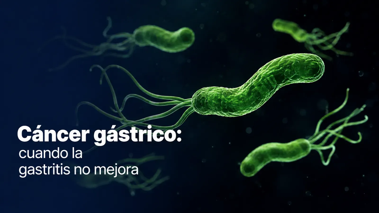 Cáncer gástrico: cuando la gastritis no mejora Helicobacter Pylori