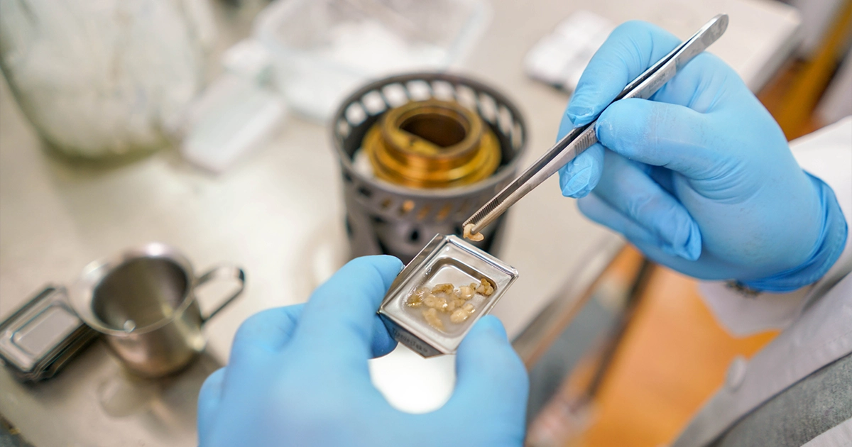 Laboratorio de Inmunohistoquímica