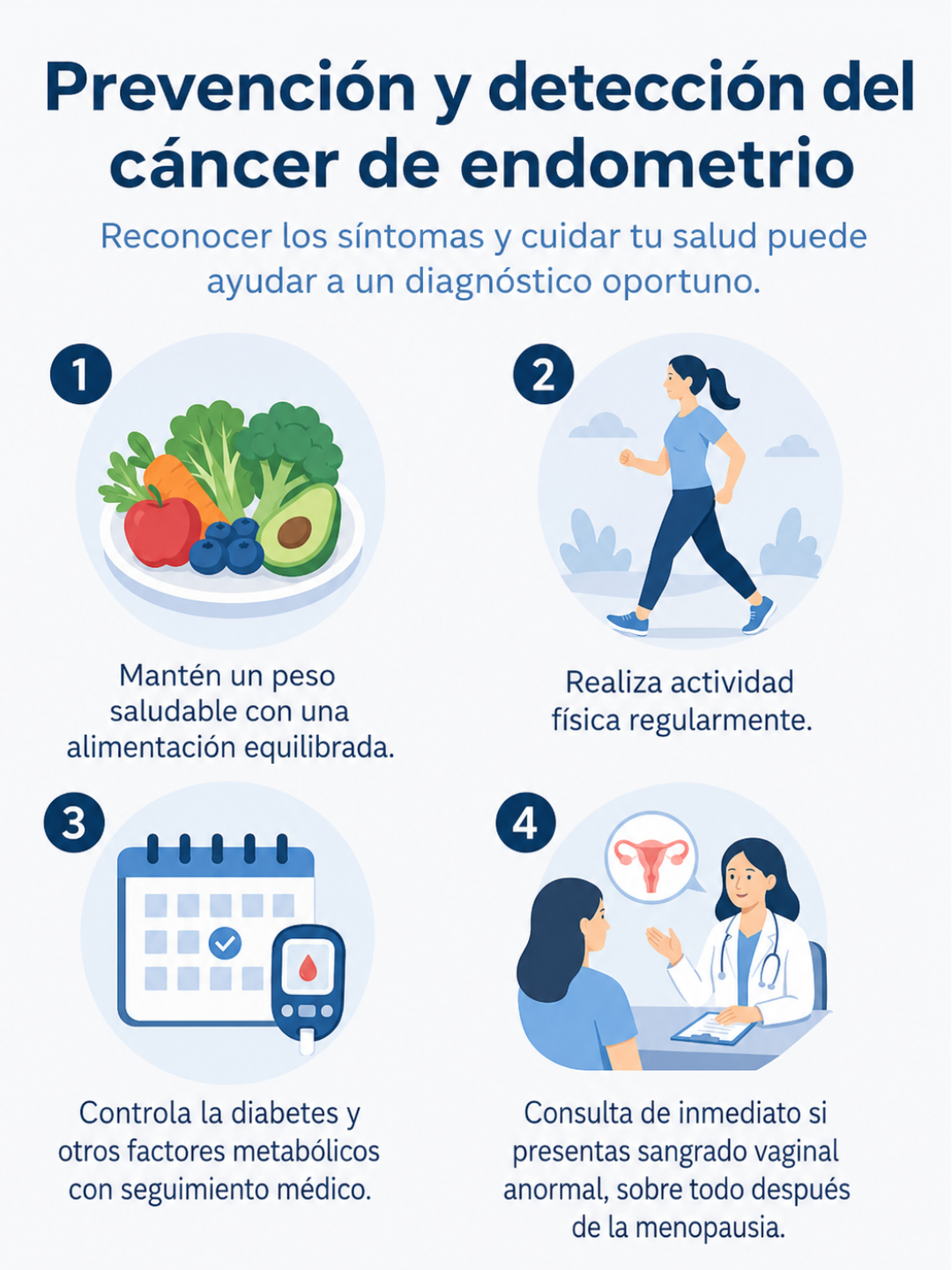 Anatomía - Cáncer de endometrio