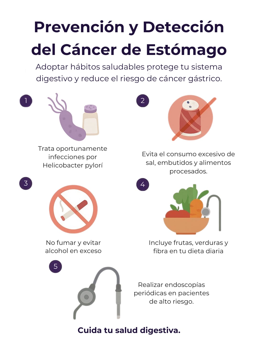 Anatomía - Cáncer de Estómago