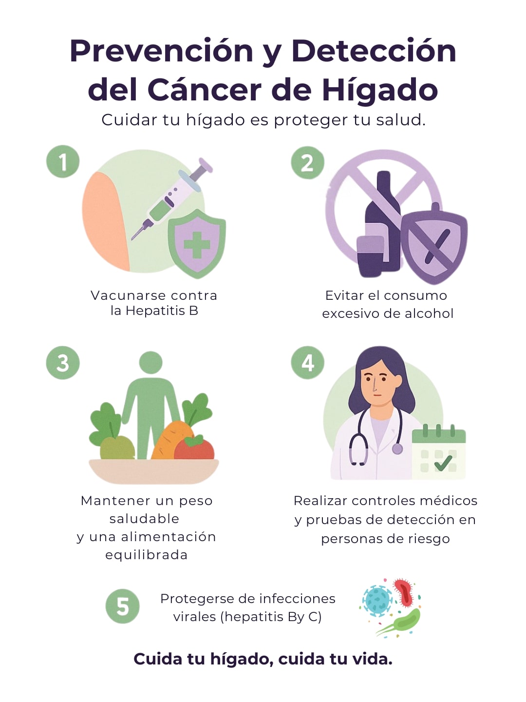 Anatomía - Cáncer de Hígado