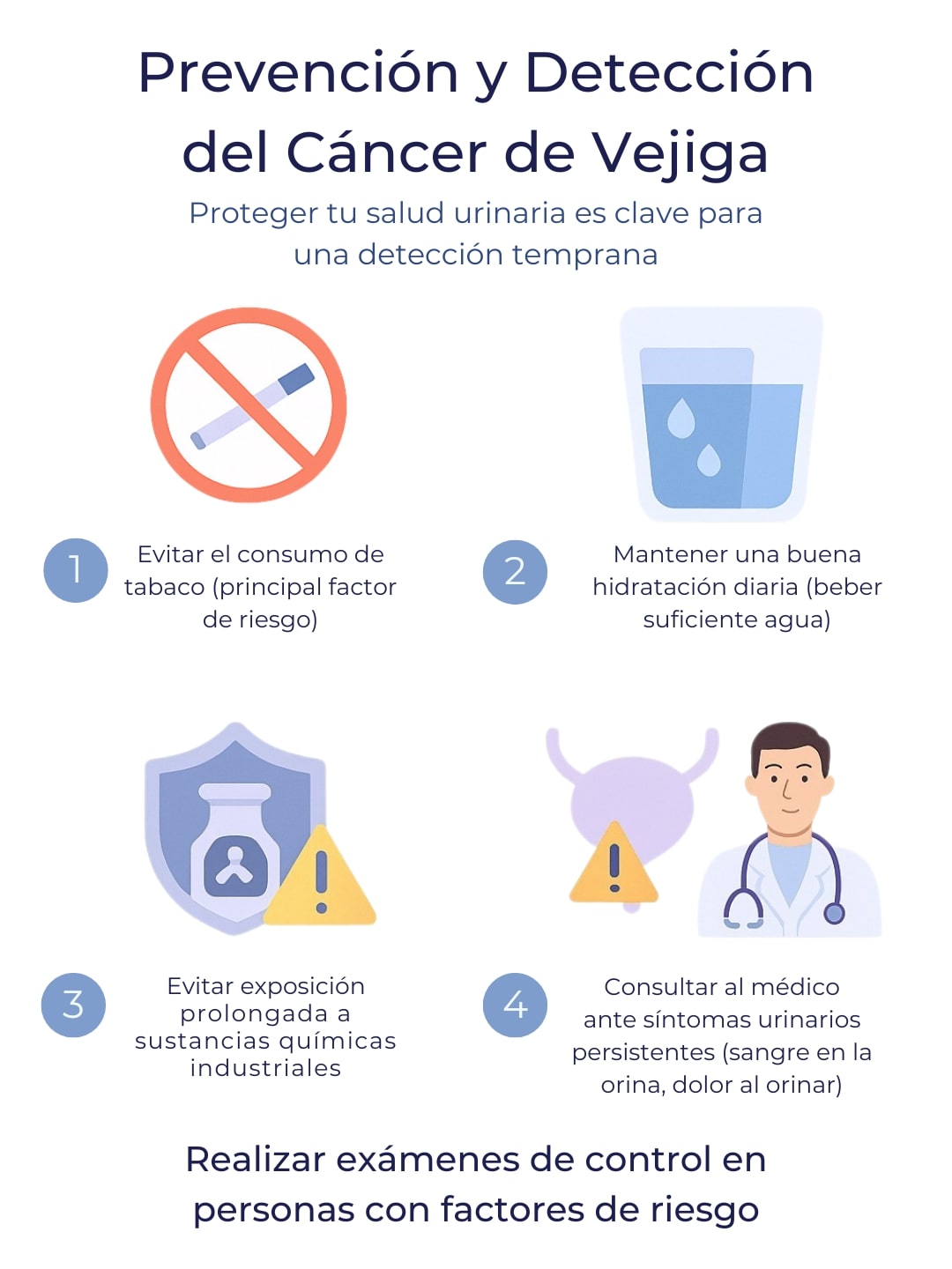 Anatomía - Cáncer de Vejiga