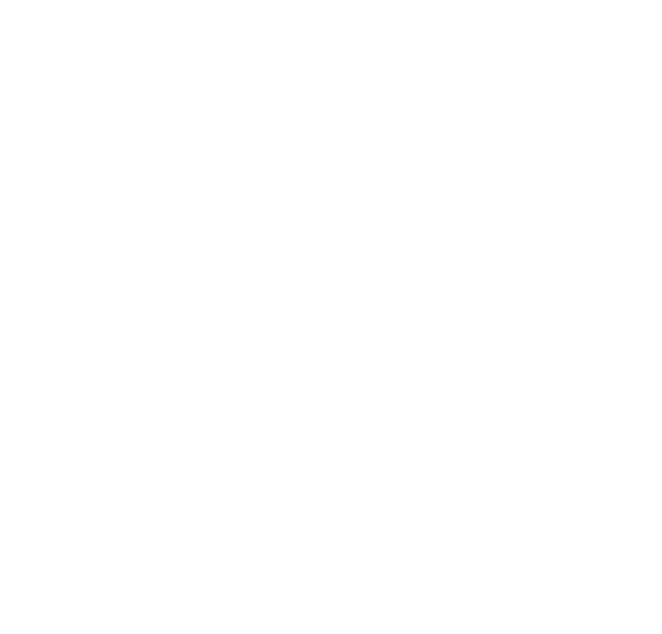 Logo ISO 9001
